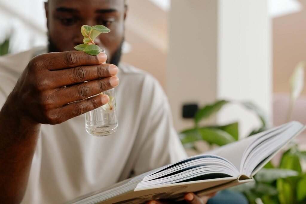 knowledge growth gateway