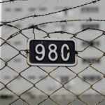 IP address security shield