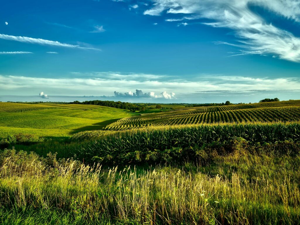 Central Iowa landscape