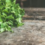 cilantro and coriander seeds