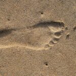 digital footprint concept