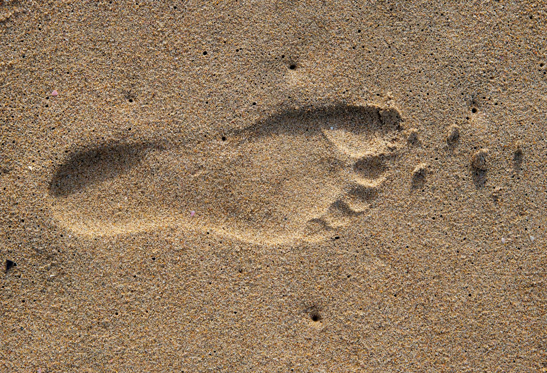 Ava Nickel: Her Digital Footprint & Online Presence in 2026