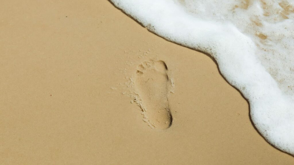 digital footprint