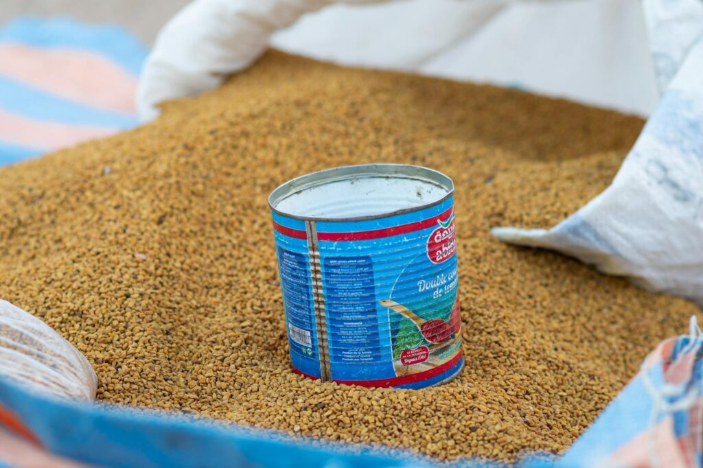 fenugreek seeds plant