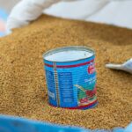 fenugreek seeds plant