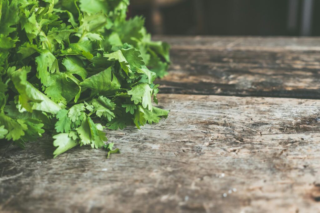 fresh cilantro leaves and coriander seeds