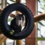 serilog enricher diagram