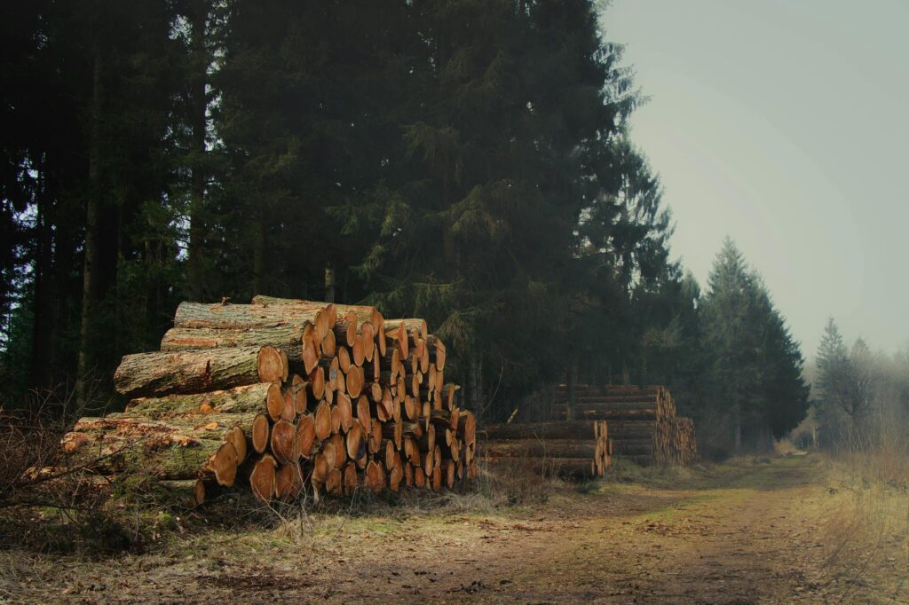 serilog logging levels .net