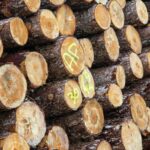 serilog logging levels diagram