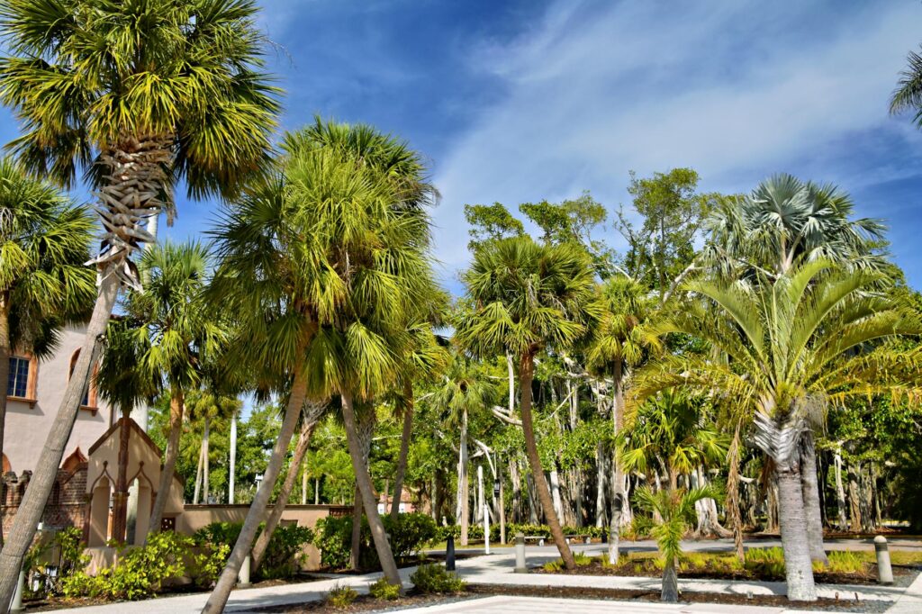 Southwest Florida skyline